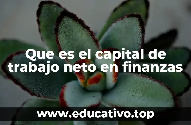 Que es el capital de trabajo neto en finanzas