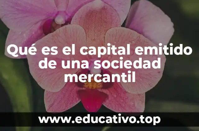 Qué es el capital emitido de una sociedad mercantil