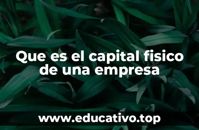 Que es el capital fisico de una empresa