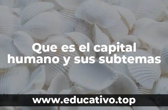 Que es el capital humano y sus subtemas