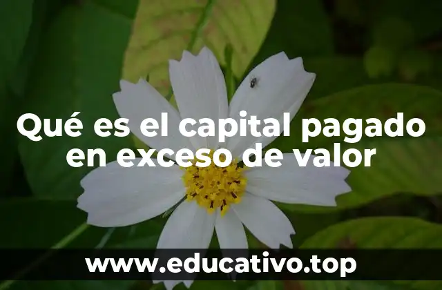 La importancia del capital pagado en exceso en la estructura patrimonial