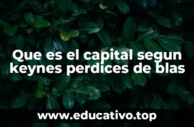 Que es el capital segun keynes perdices de blas