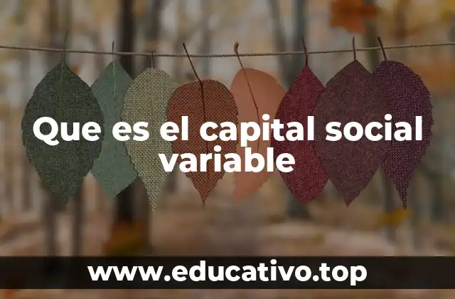 Que es el capital social variable