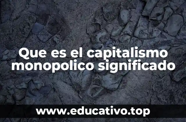 Que es el capitalismo monopolico significado