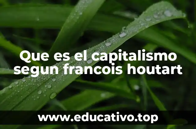 Que es el capitalismo segun francois houtart