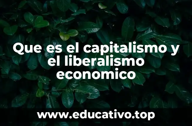 Que es el capitalismo y el liberalismo economico