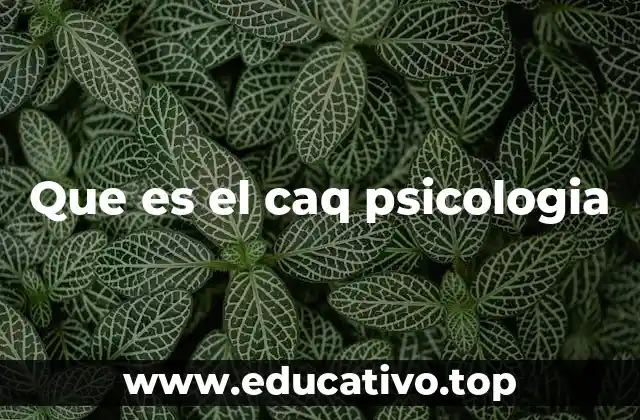 Que es el caq psicologia