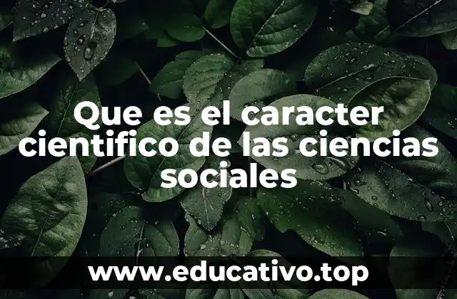 Que es el caracter cientifico de las ciencias sociales
