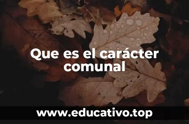 Que es el carácter comunal