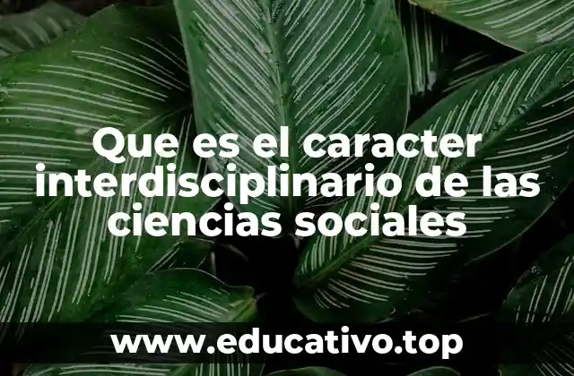 Que es el caracter interdisciplinario de las ciencias sociales