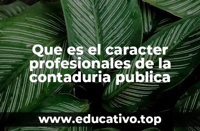 Que es el caracter profesionales de la contaduria publica