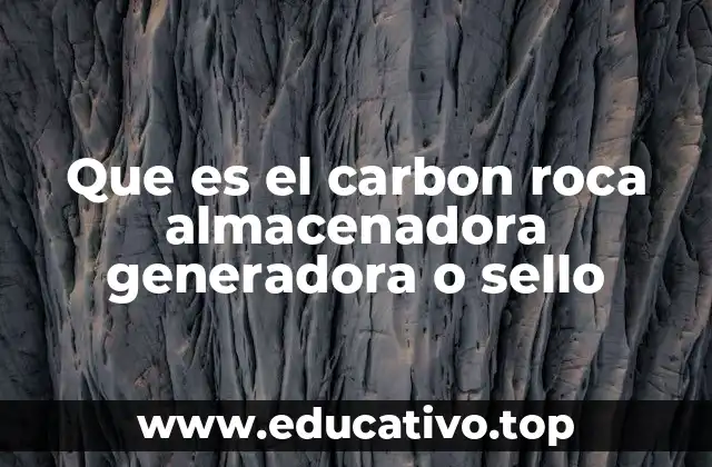 Que es el carbon roca almacenadora generadora o sello