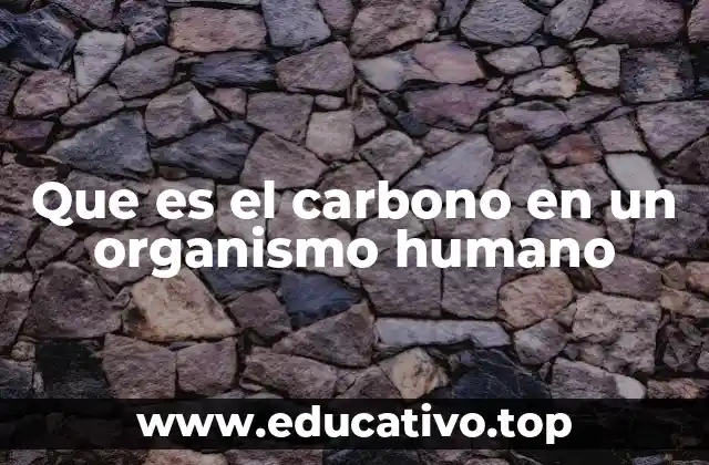 Que es el carbono en un organismo humano