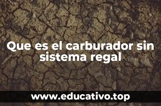 Que es el carburador sin sistema regal