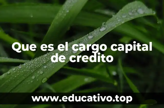 El papel del cargo capital en la estructura de un préstamo