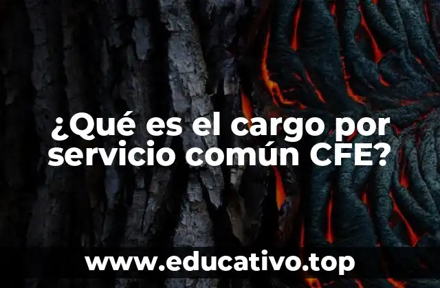 ¿Qué es el cargo por servicio común CFE?