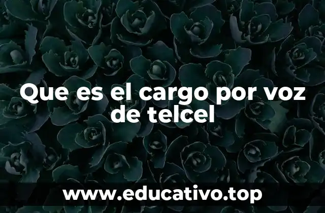 Que es el cargo por voz de telcel