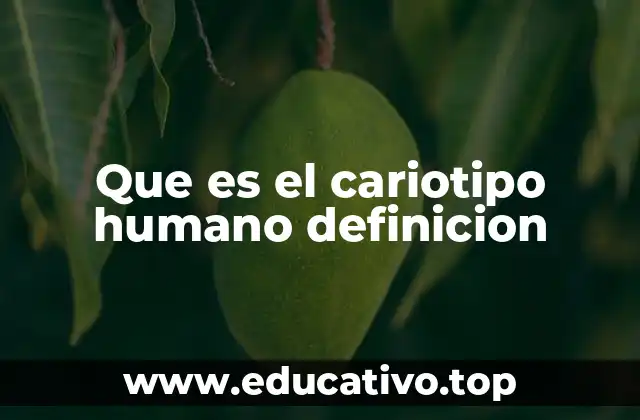 Que es el cariotipo humano definicion