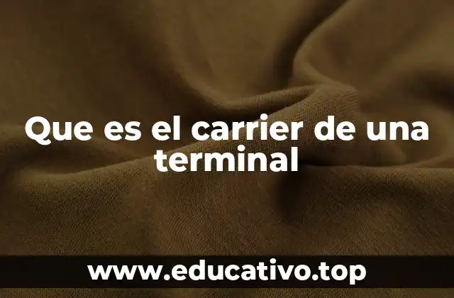 Que es el carrier de una terminal