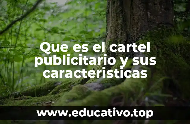 Que es el cartel publicitario y sus caracteristicas
