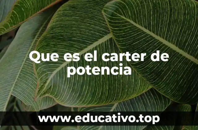 Que es el carter de potencia