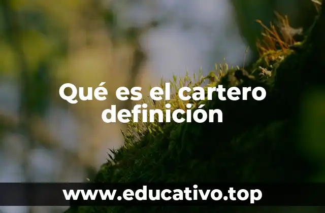 Qué es el cartero definición