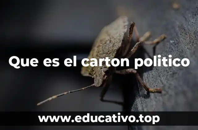 Que es el carton politico