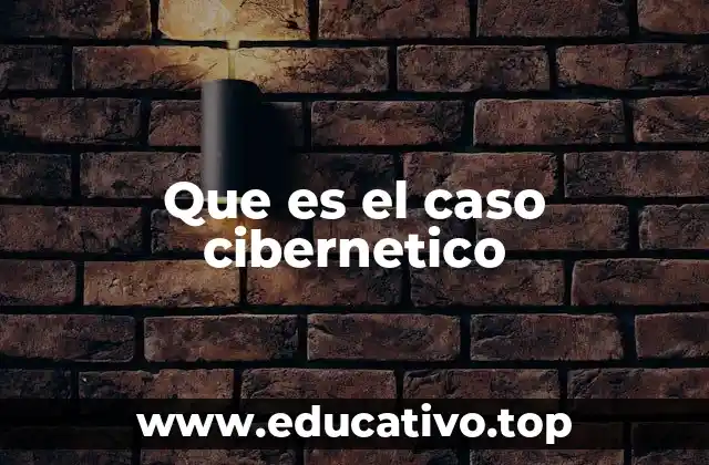Que es el caso cibernetico