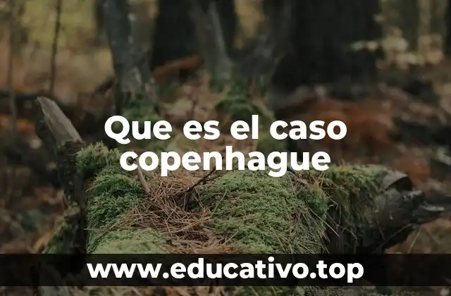 Que es el caso copenhague