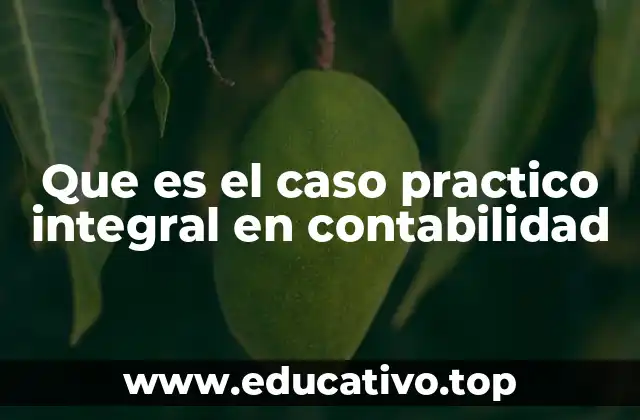 Que es el caso practico integral en contabilidad