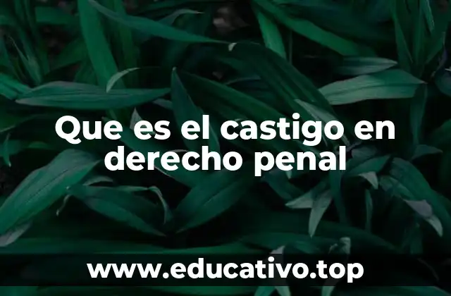 Que es el castigo en derecho penal