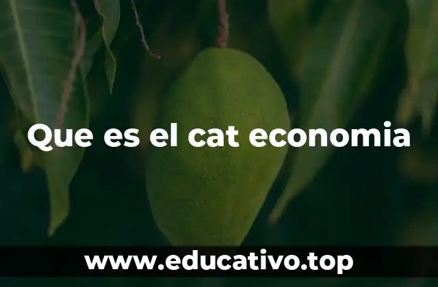 Que es el cat economia