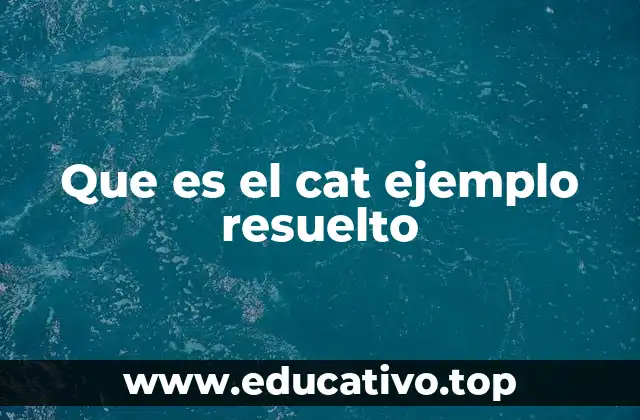 Que es el cat ejemplo resuelto