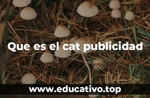 Que es el cat publicidad