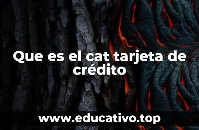 El impacto del CAT en las decisiones financieras