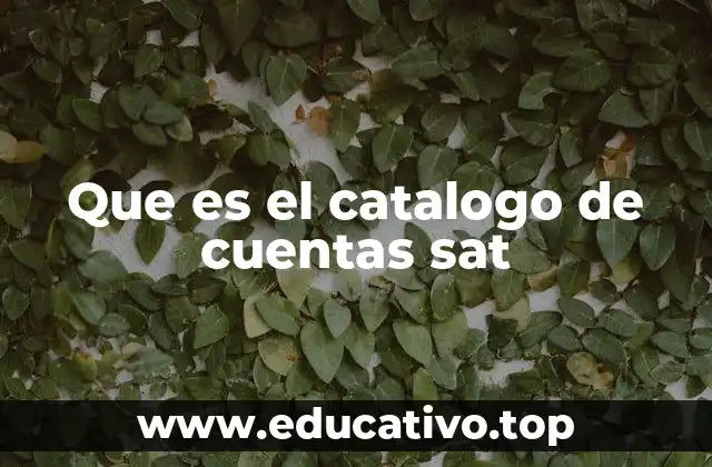 Que es el catalogo de cuentas sat