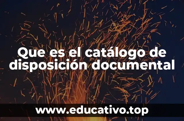 Que es el catálogo de disposición documental
