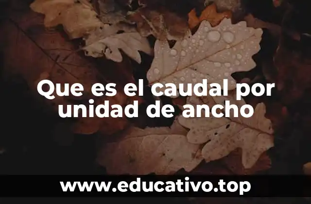 Que es el caudal por unidad de ancho