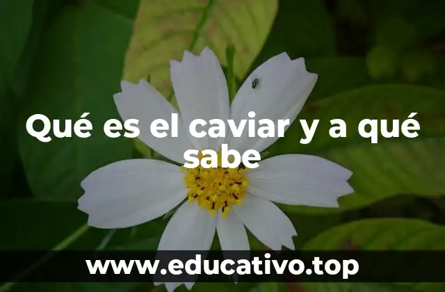 Qué es el caviar y a qué sabe