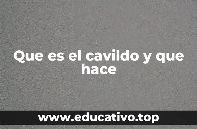 Que es el cavildo y que hace
