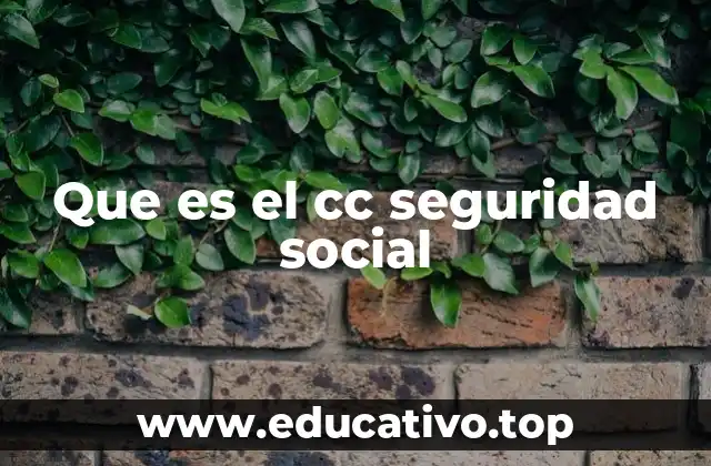 Que es el cc seguridad social
