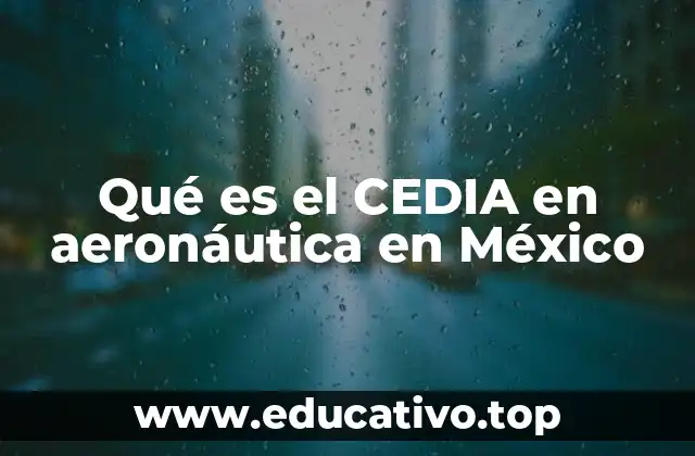 El rol del CEDIA en la industria aeronáutica nacional
