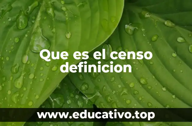 Que es el censo definicion