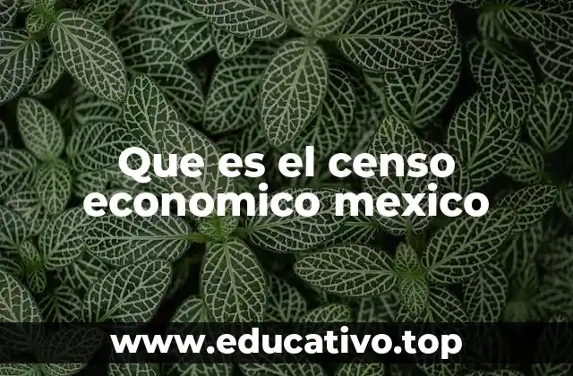 Que es el censo economico mexico