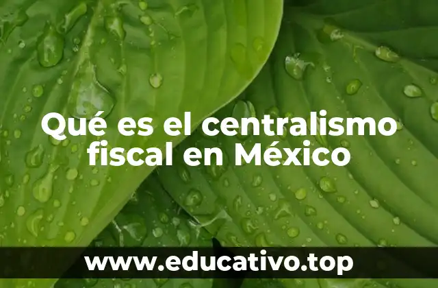 Qué es el centralismo fiscal en México
