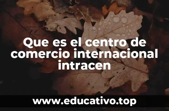 Que es el centro de comercio internacional intracen