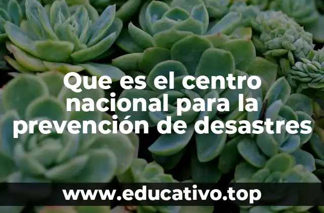 Que es el centro nacional para la prevención de desastres