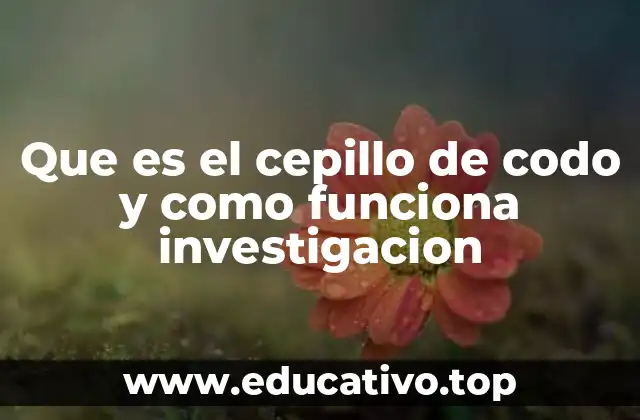 Que es el cepillo de codo y como funciona investigacion
