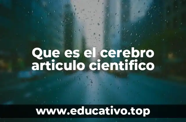Que es el cerebro articulo cientifico