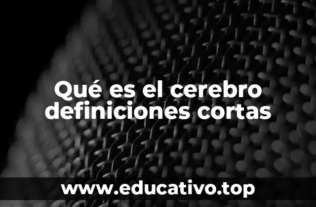 El cerebro como centro de control del cuerpo